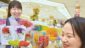 3년가량 시들지 않는 ‘천일화’