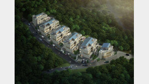 용인 수지 성복동 테라스하우스 ‘테라스29’ 분양