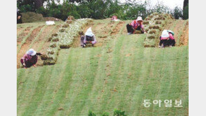 분주한 잔디 수확 작업