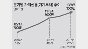 다중채무자 390만명, 1인당 평균 빚 1억1529만원