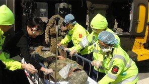 [단독]의사 부족과 싸우는 외상센터… 9곳중 전담의 20명 채운곳 ‘0’