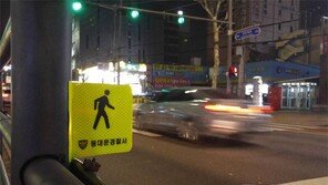 야간에 무단횡단 일가족 ‘쿵’…운전자 과실이 80%라고? 