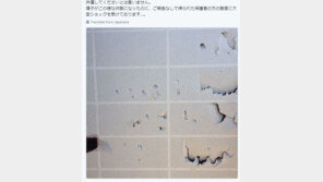 자식이 물건 파손해도 모른 체하는 ‘키치마마’…日도 ‘노키즈존’ 확산