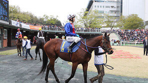 베테랑 브리그 저력, 큐피트파워 상승세 맞대결