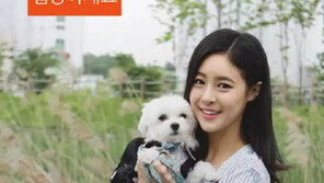 반려동물 앱, 수의사가 개발했다고?