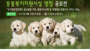 서울시 동물복지지원시설 이름 지어주세요