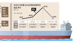 정부, 중소 조선업체에 재정 투입