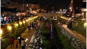 야밤에 즐기는 ‘夜行프로그램’ 청주-공주서 열린다