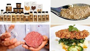 인공 계란-쇠고기-우유… 자연산 대신 식탁 오를까