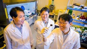 중국이 장악한 태양전지 시장… 1+1 기술로 넘어선다