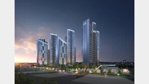 겹겹규제 속… 강남 연내 3000여 가구 분양