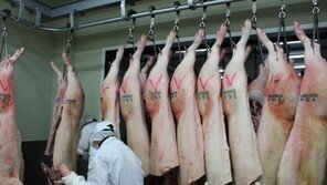 눈꽃참한우포크, 철저한 품질관리로 고기 본연의 맛 살려