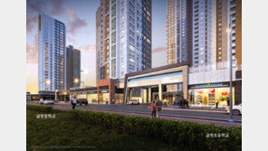 8.2 부동산대책 여파… 상가에 쏠리는 관심