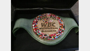 메이웨더 vs 맥그리거, 승자 벨트에 욱일기가 ‘떠억’ …국내팬들 부글부글