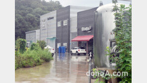 지역 수제맥주 열풍…대전·충청권 대표 수제맥주는?