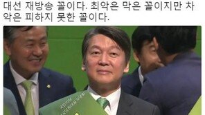 신동욱 “안철수, 내년 서울시장 출마 확정” 예측