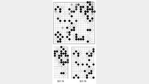 [바둑]알파고 vs 알파고 특선보… 귀중한 선수