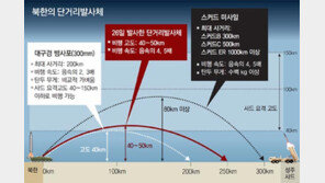 北, 하늘-바다 동시기습 협박에도… 靑 “ICBM은 아니다” 강조