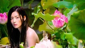 [단독]“한류산업 피해 공동대응”… 민간 대중문화단체 22곳 손잡다