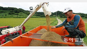 “폭우-폭염 이기고 벼농사 잘됐네”