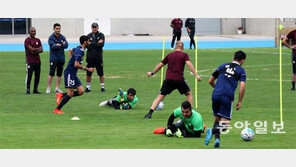 11명 먼저 들어온 이란 “훈련장 잔디 왜 이러나”