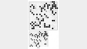 [바둑]알파고 vs 알파고 특선보… 백, 이길 확률 높다