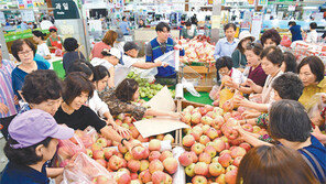 “우박 피해 농가 도와요”…‘보조개 사과’ 할인 판매
