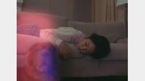 ‘백치미 논란’ 설현, 누워서 반려견과 ‘휴식’