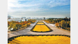 [2018 대입수시 필승전략]영남대, 학생부종합 잠재능력우수자전형 대폭 늘려 501명 선발