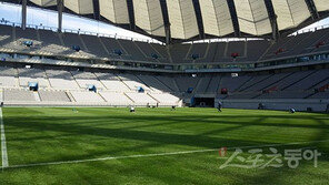 잔디 교체한 상암경기장…대표팀도 일단은 합격점