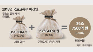 1인가구 여성 전용 임대주택 첫선… 신혼부부 주택대출 확대