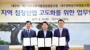 대구시 ‘침구장비 산업’ 육성 나선다