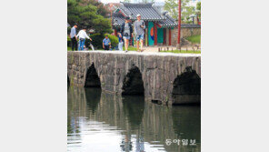 오작교 건너는 사람들