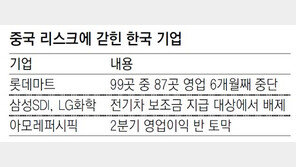 롯데마트 99곳중 87곳 영업중단… 아모레 2분기 영업이익 58% 급감