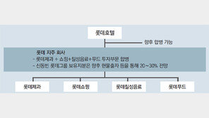 롯데, 지주사 전환 사내절차 마무리