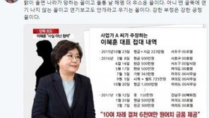 신동욱 “이혜훈, 서울시장 물 건너 간 꼴”