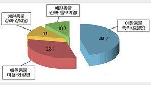 반려동물 분야 상표출원 4년새 29% 증가