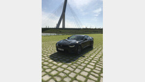 운전을 레포츠로 바꿔놓은 ‘남자들의 드림카’