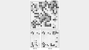 [바둑]알파고 vs 알파고 특선보… 능수능란한 패싸움 실력