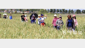 갈대밭 사이로… 가을이 성큼