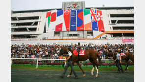 렛츠런파크 서울, 무료입장 혜택 누리세요