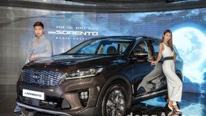 기아차, 8월 국내 판매 4만1027대… ‘스토닉’ 1655대 팔려