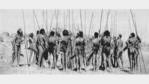 [책의 향기]생존 위해 싸워 온 인류, 전쟁 DNA 키웠다