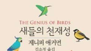 [책의 향기]머리 나쁜 ‘새대가리’? 천재성 알면 놀랄걸요
