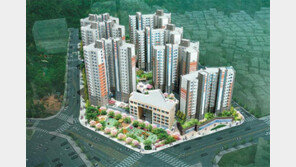 초미니 아파트, 식지 않는 인기