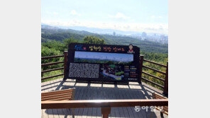 전망대 조망 가리는 입간판에 눈살