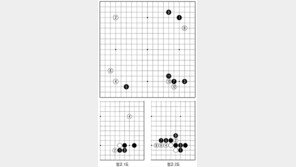 [바둑]알파고 vs 알파고 특선보… 낯설지만 좋은 활용