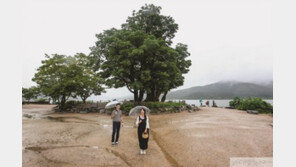 강과 산, 사람의 공간마다 풍성한 이야기 흐르는 맑은 길 양평