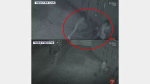 부산 여중생 폭행 “모자 덮어쓰고 피투성이 돼 엎드려 있어” CCTV 보니… 