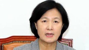 추미애 “北-美 동시 특사 파견…남북·북미 투트랙 대화 추진해야”